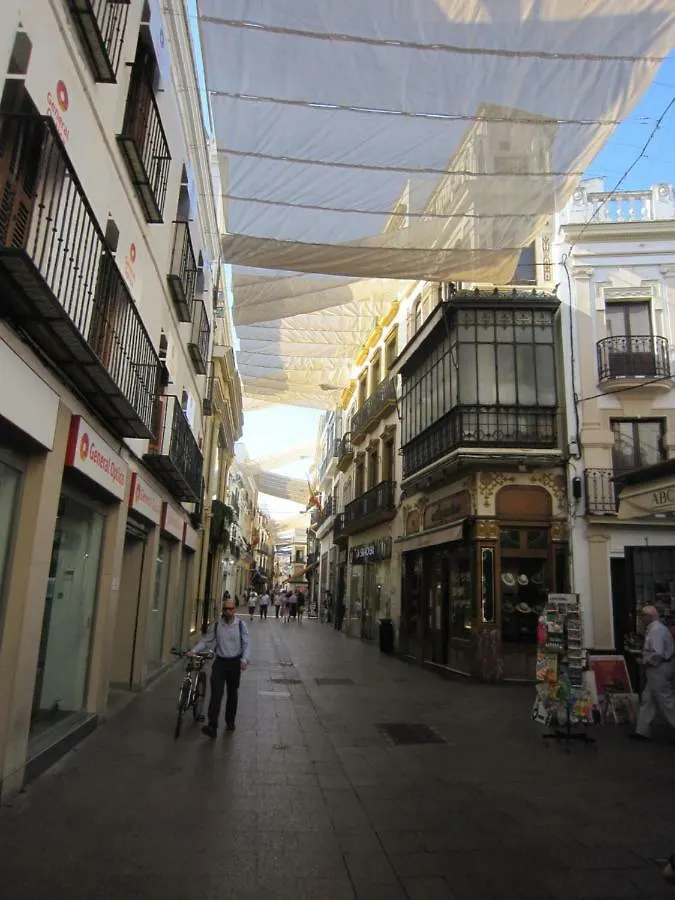 Apartamento céntrico Plaza del Salvador Séville