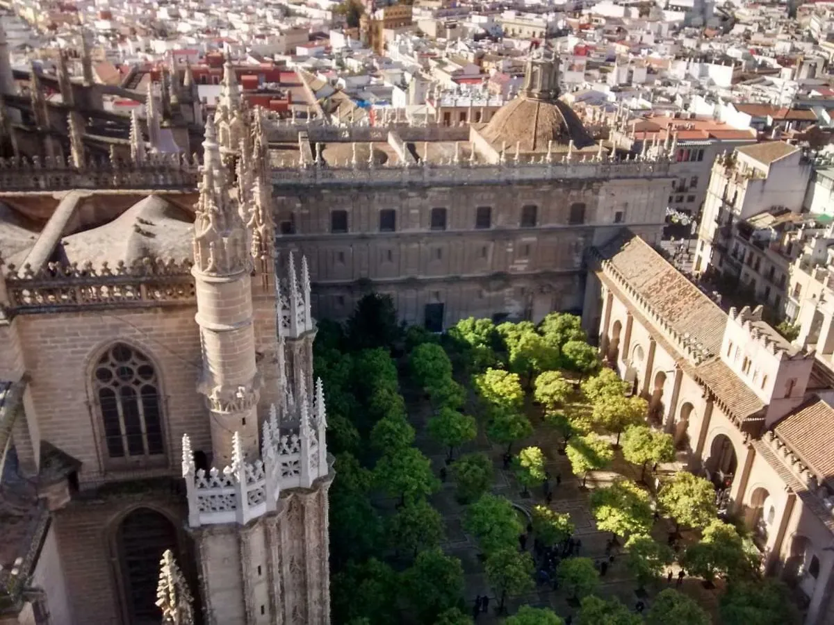 Apartamento céntrico Plaza del Salvador Séville